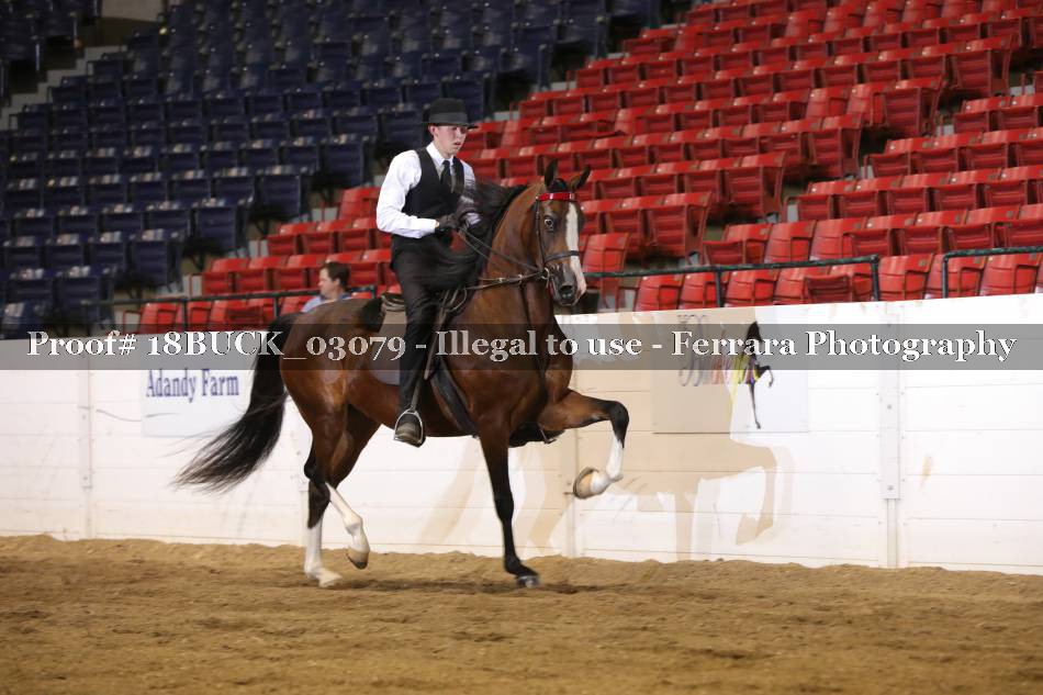 Proof 18BUCK_03079