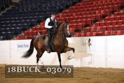 18BUCK_03079 proof