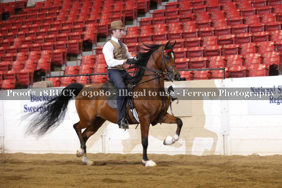 Proof 18BUCK_03080
