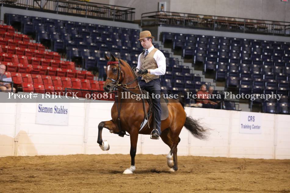 Proof 18BUCK_03081