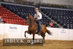18BUCK_03081 proof