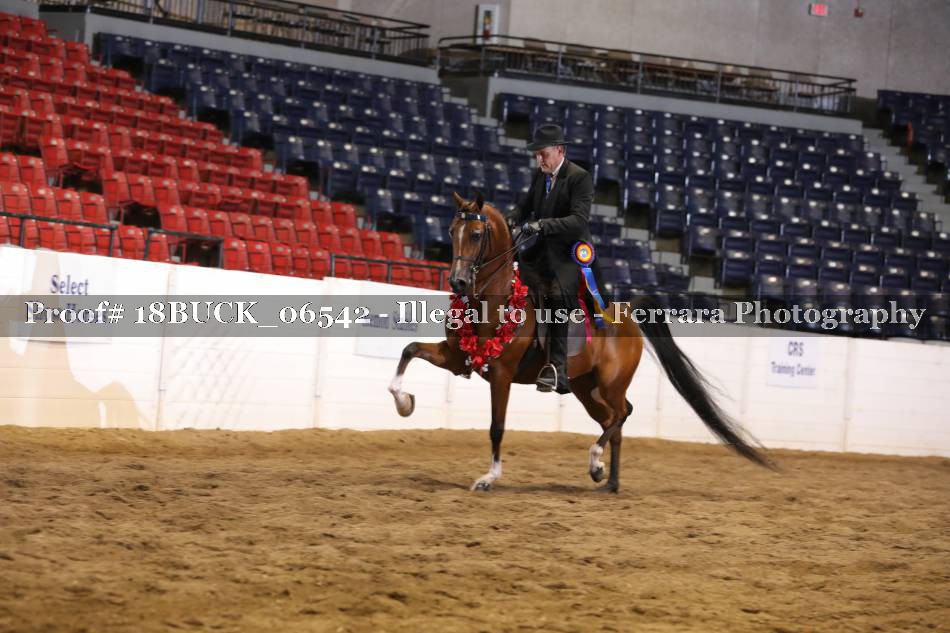 Proof 18BUCK_06542