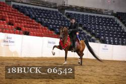 18BUCK_06542 proof