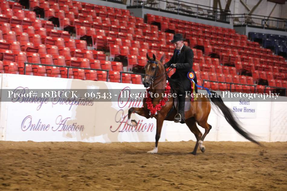 Proof 18BUCK_06543