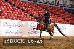 18BUCK_06543 proof
