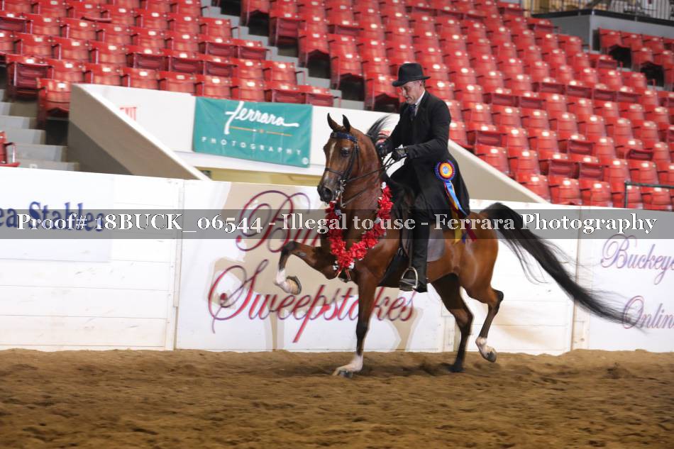 Proof 18BUCK_06544
