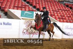 18BUCK_06544 proof