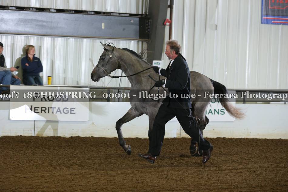 Proof 18OHIOSPRING_00001