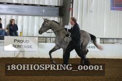 18OHIOSPRING_00001 proof