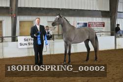 18OHIOSPRING_00002 proof