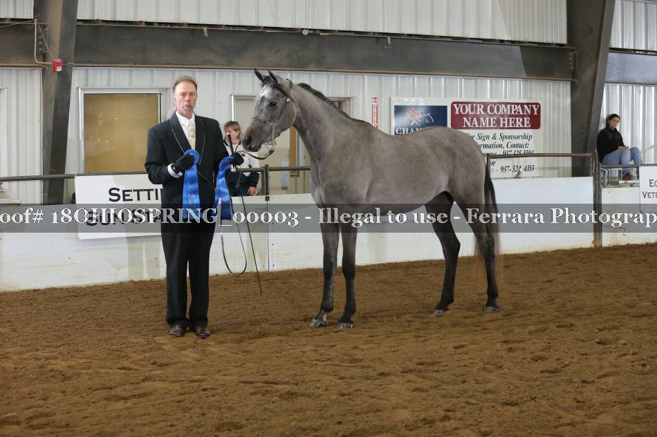 Proof 18OHIOSPRING_00003