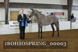 18OHIOSPRING_00003 proof