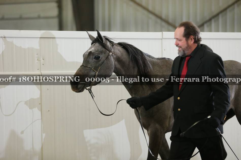Proof 18OHIOSPRING_00005