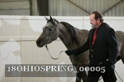 18OHIOSPRING_00005 proof
