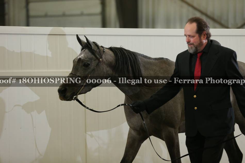 Proof 18OHIOSPRING_00006