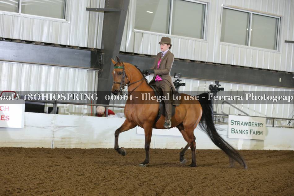 Proof 18OHIOSPRING_00061