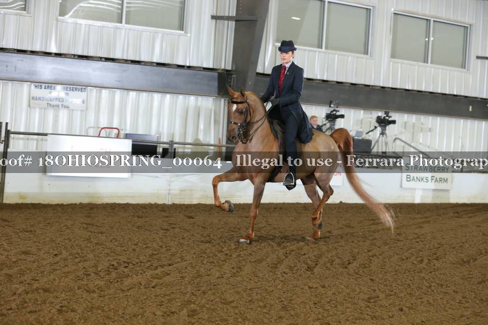 Proof 18OHIOSPRING_00064