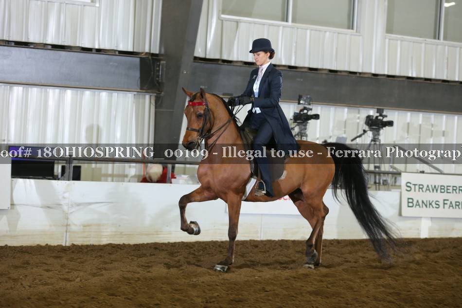 Proof 18OHIOSPRING_00109