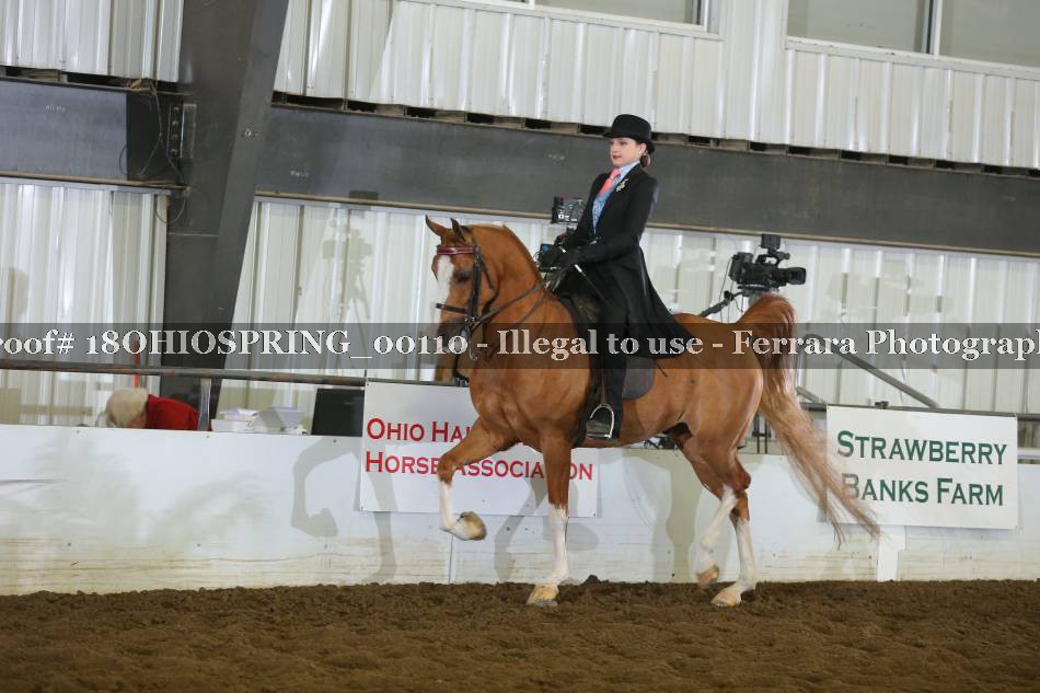 Proof 18OHIOSPRING_00110
