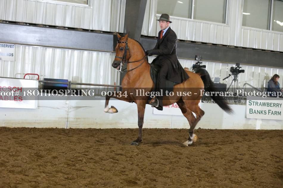 Proof 18OHIOSPRING_00134