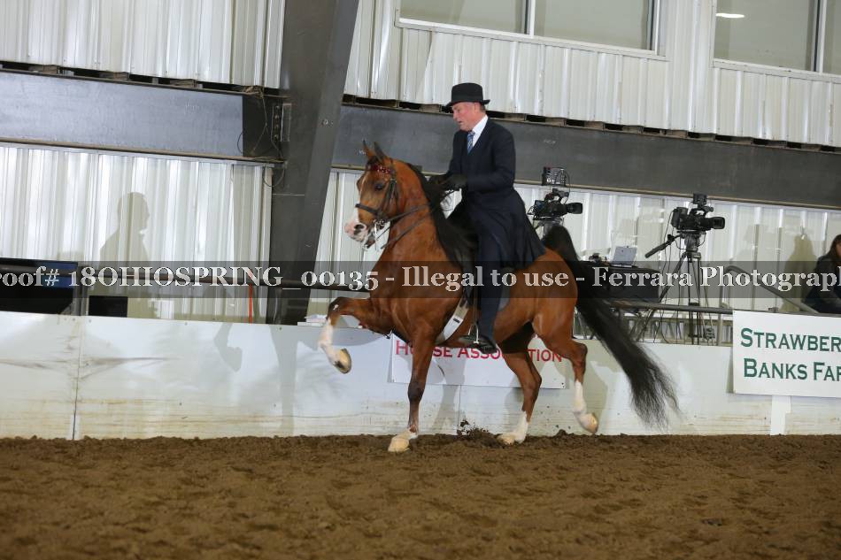 Proof 18OHIOSPRING_00135