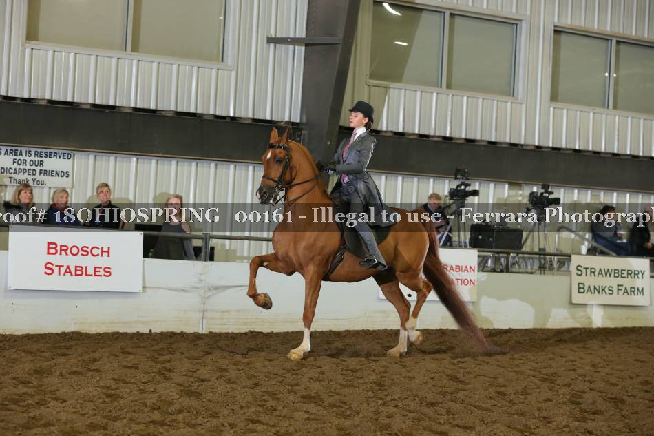 Proof 18OHIOSPRING_00161