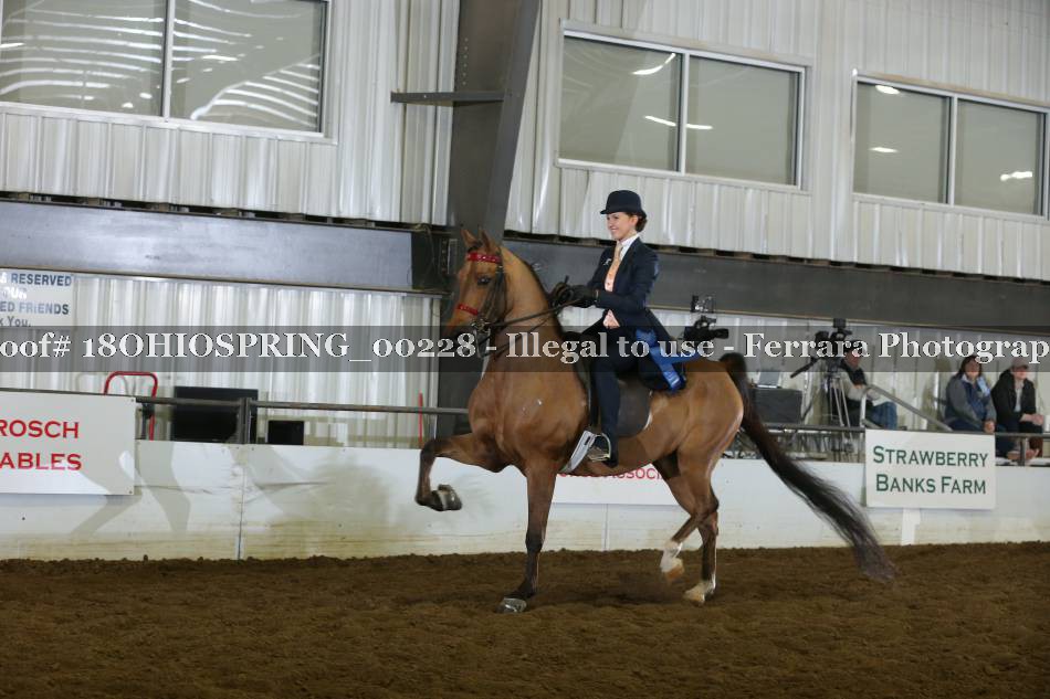Proof 18OHIOSPRING_00228