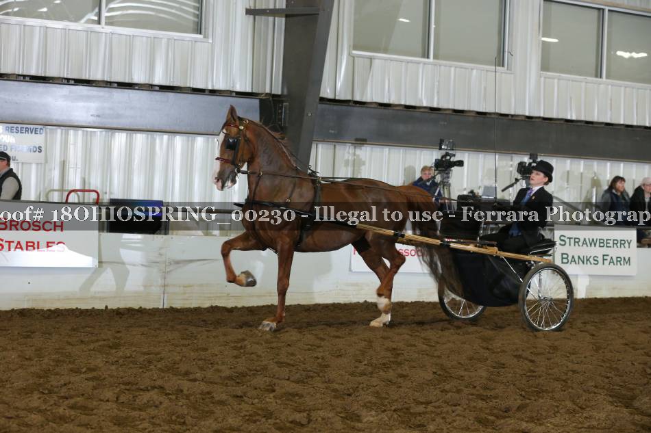 Proof 18OHIOSPRING_00230