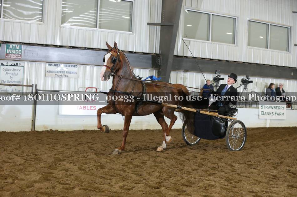Proof 18OHIOSPRING_00233
