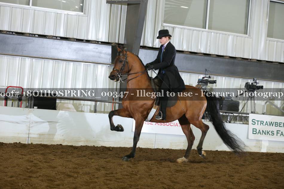 Proof 18OHIOSPRING_00347