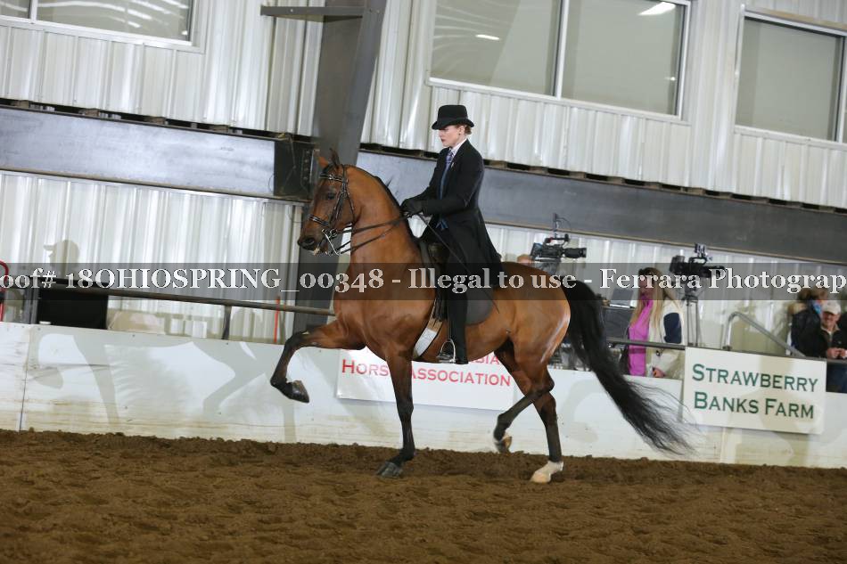 Proof 18OHIOSPRING_00348