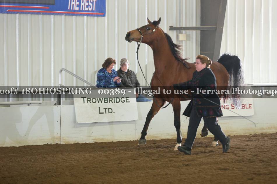 Proof 18OHIOSPRING_00389