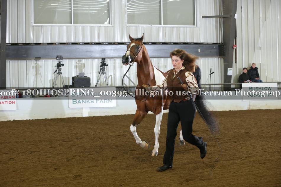 Proof 18OHIOSPRING_00395