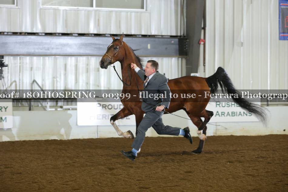 Proof 18OHIOSPRING_00399