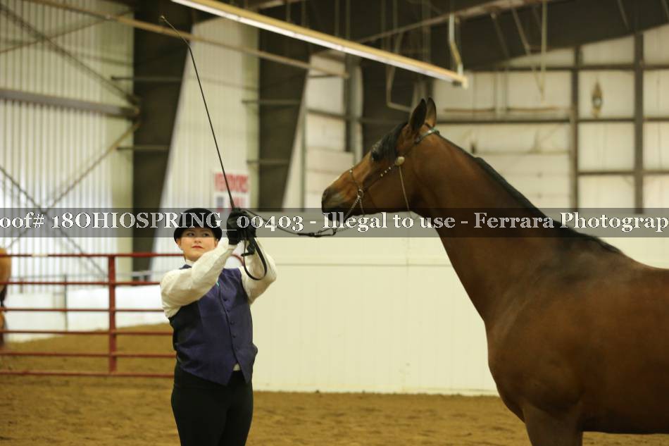 Proof 18OHIOSPRING_00403