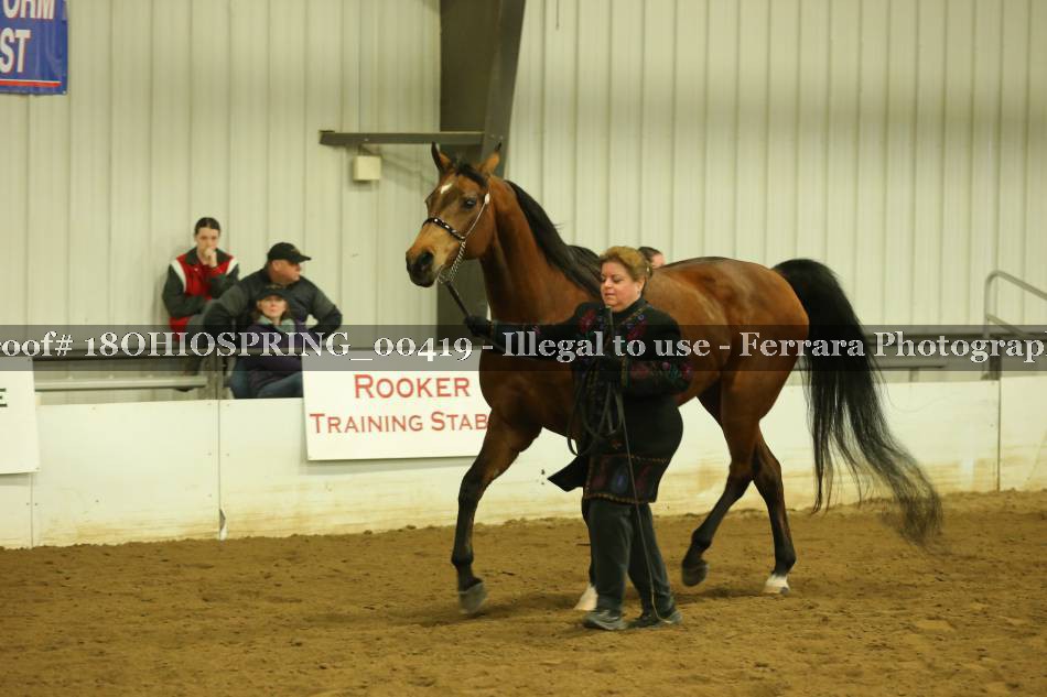 Proof 18OHIOSPRING_00419
