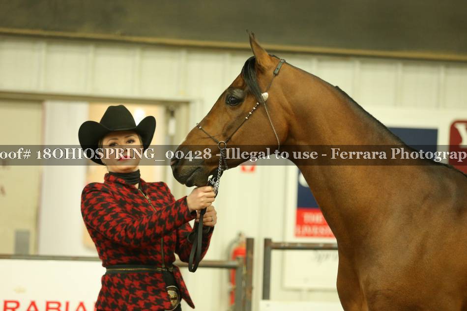 Proof 18OHIOSPRING_00428