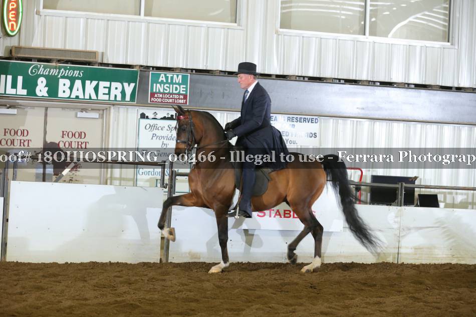 Proof 18OHIOSPRING_00466