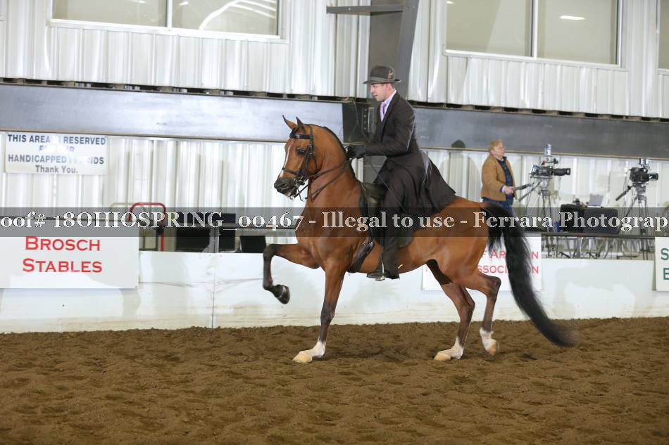 Proof 18OHIOSPRING_00467