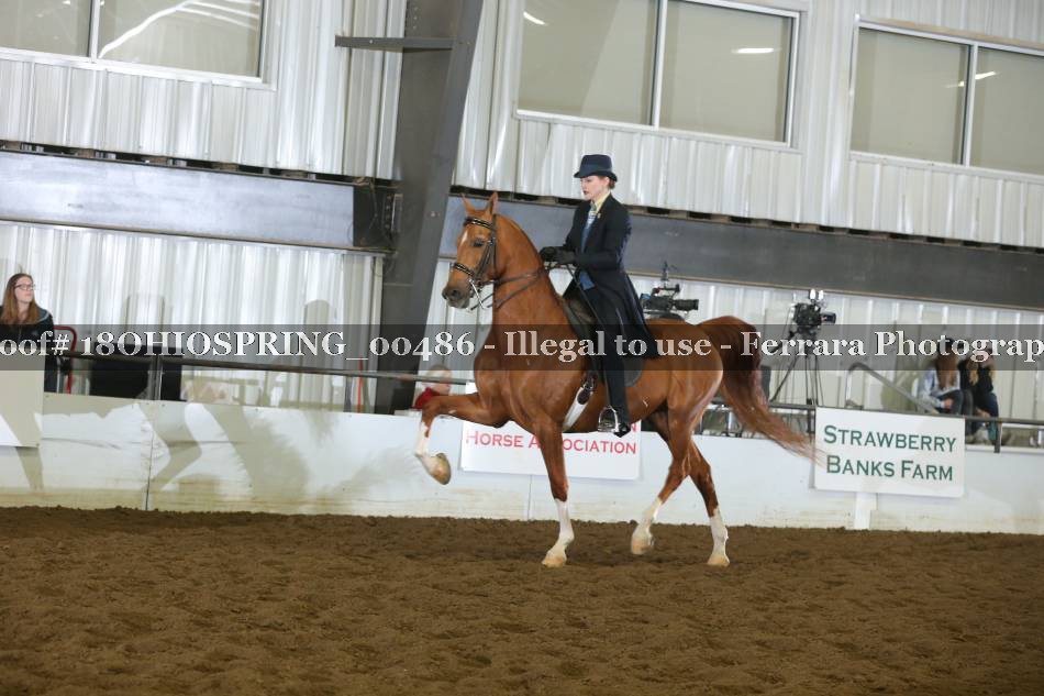 Proof 18OHIOSPRING_00486