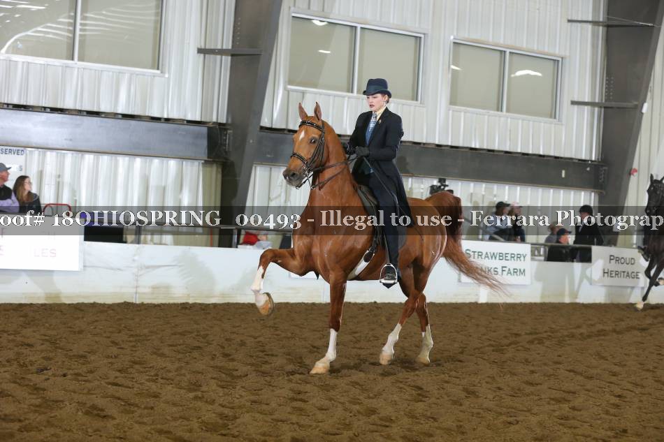 Proof 18OHIOSPRING_00493