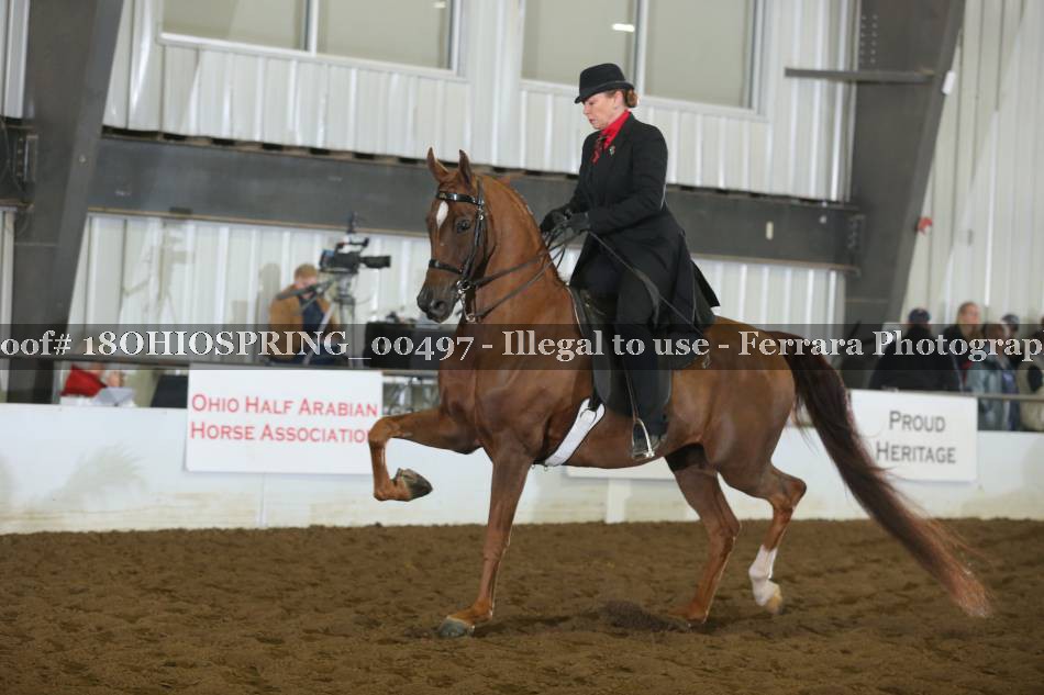 Proof 18OHIOSPRING_00497