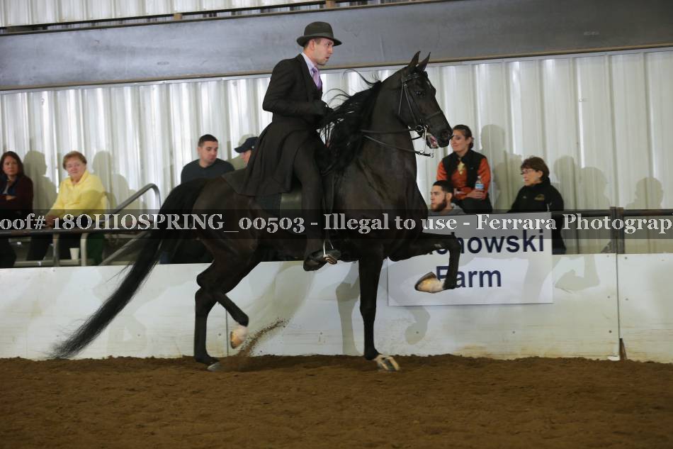 Proof 18OHIOSPRING_00503