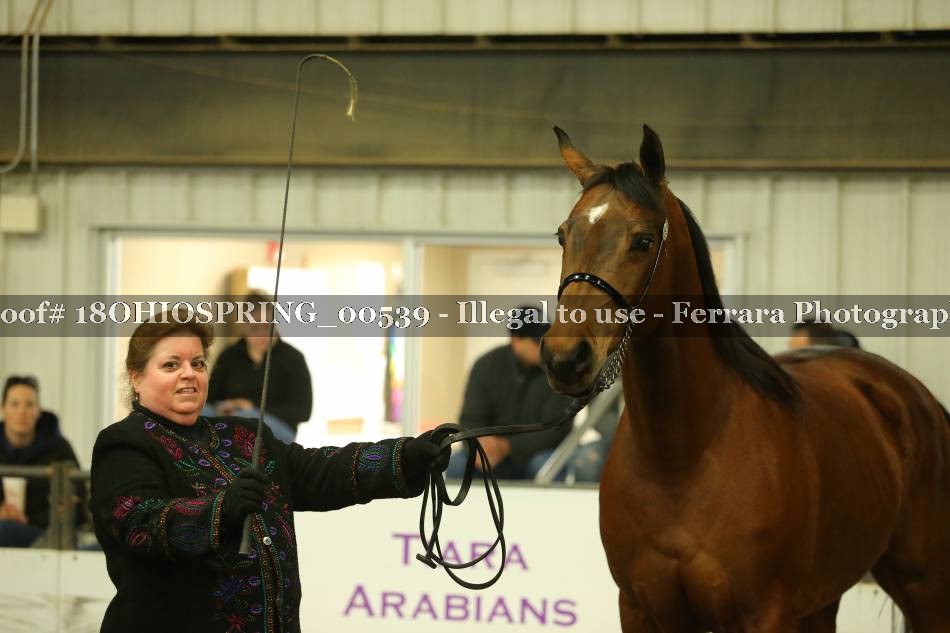 Proof 18OHIOSPRING_00539