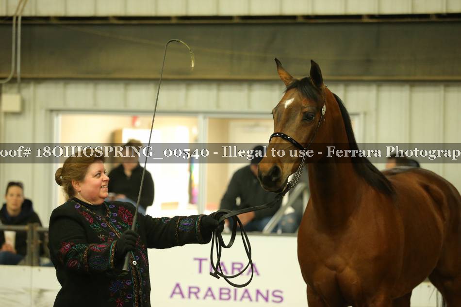 Proof 18OHIOSPRING_00540