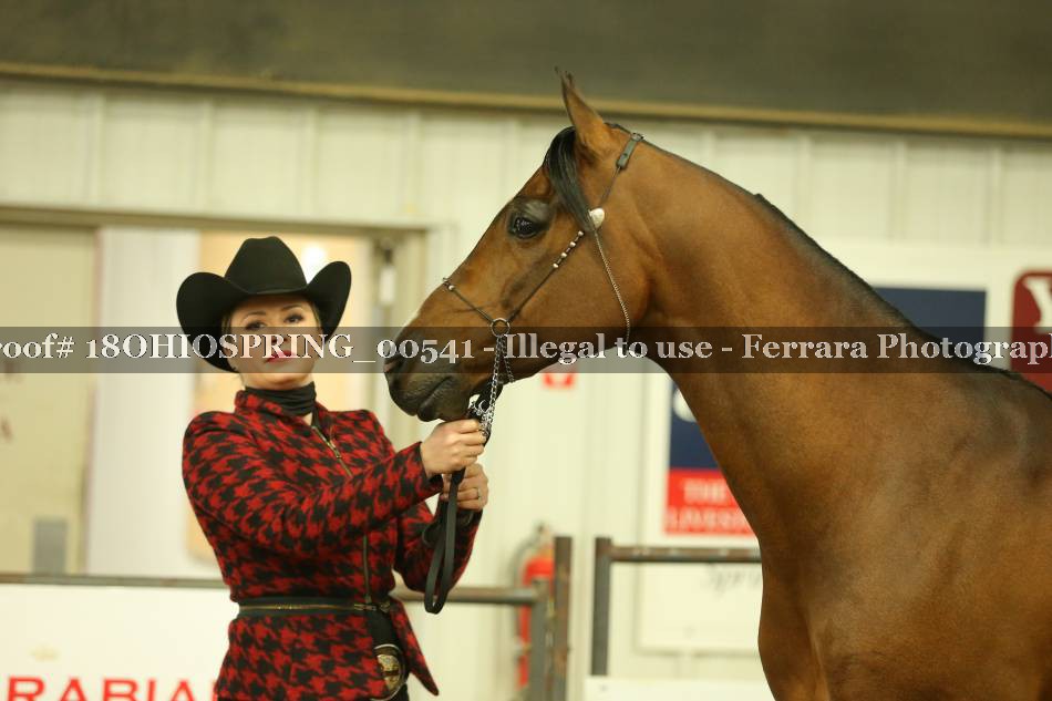 Proof 18OHIOSPRING_00541