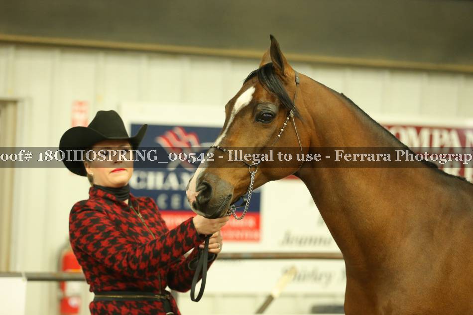 Proof 18OHIOSPRING_00542