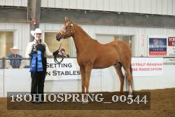 18OHIOSPRING_00544 proof