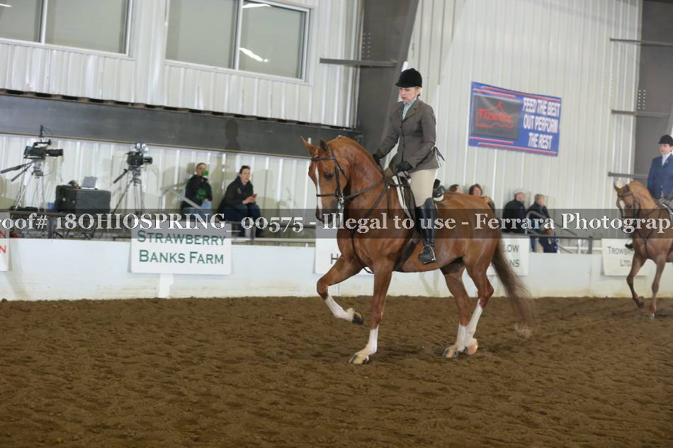Proof 18OHIOSPRING_00575