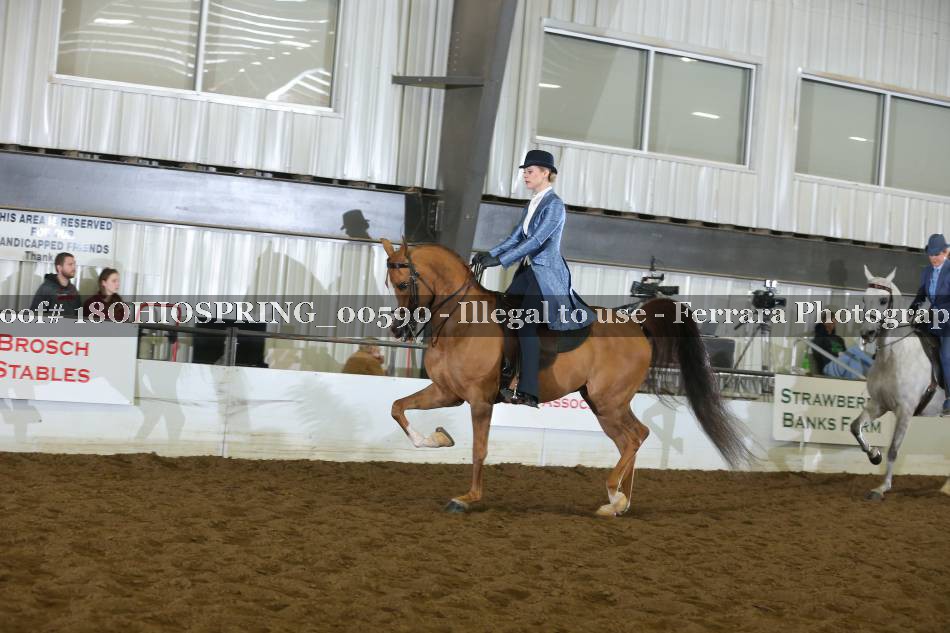 Proof 18OHIOSPRING_00590